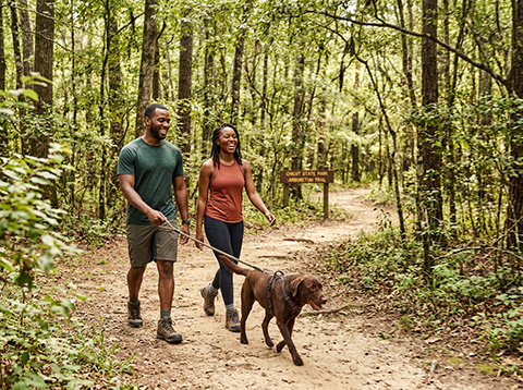 Chicot State Park Trail